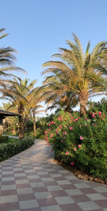 Gartenanlage Royal Wings Hotel