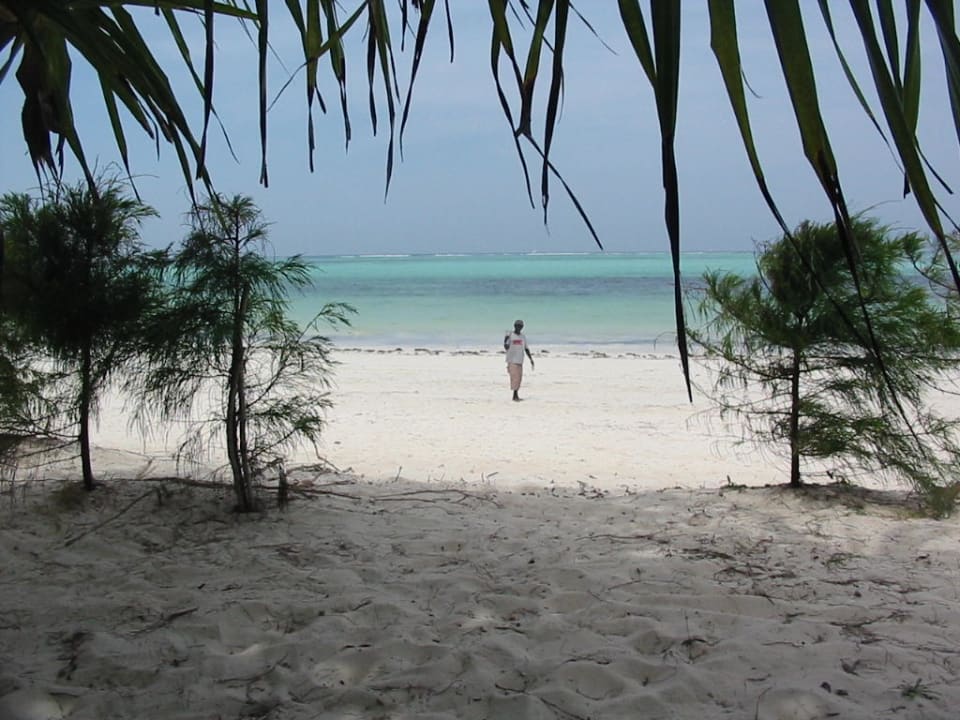 Hotelstrand Neptune Pwani Beach Resort & Spa