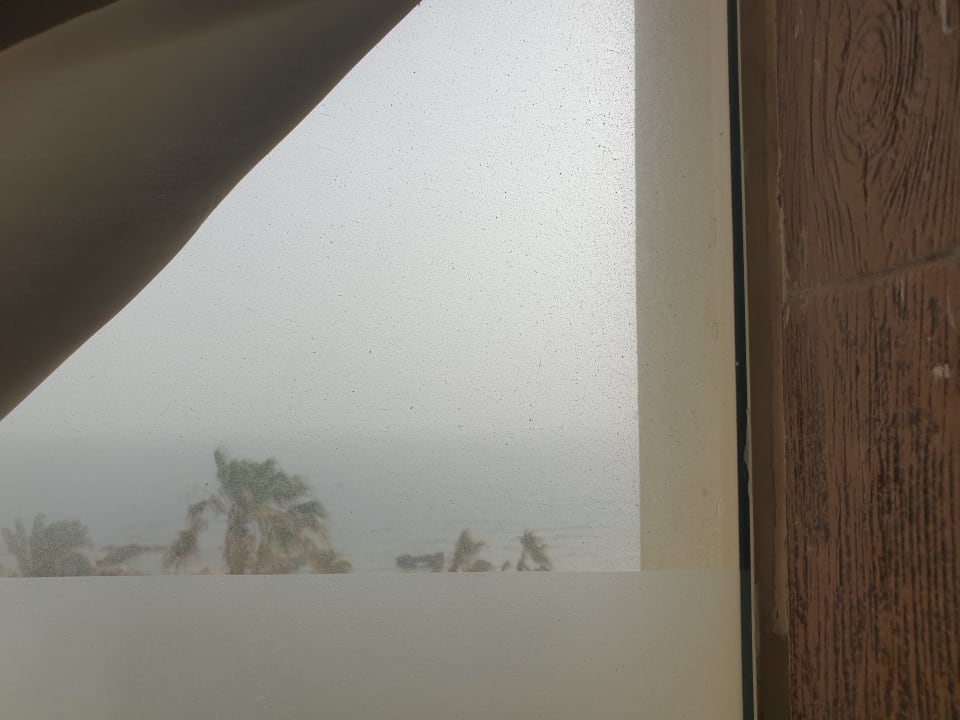 Zimmer Pickalbatros Citadel Resort