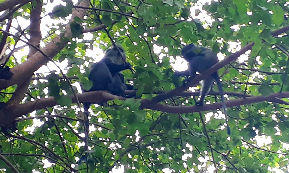 Gartenanlage Spice Island Hotel & Resort