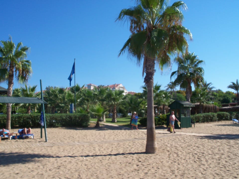 Sehr schöner Strand Royal Atlantis Beach Hotel