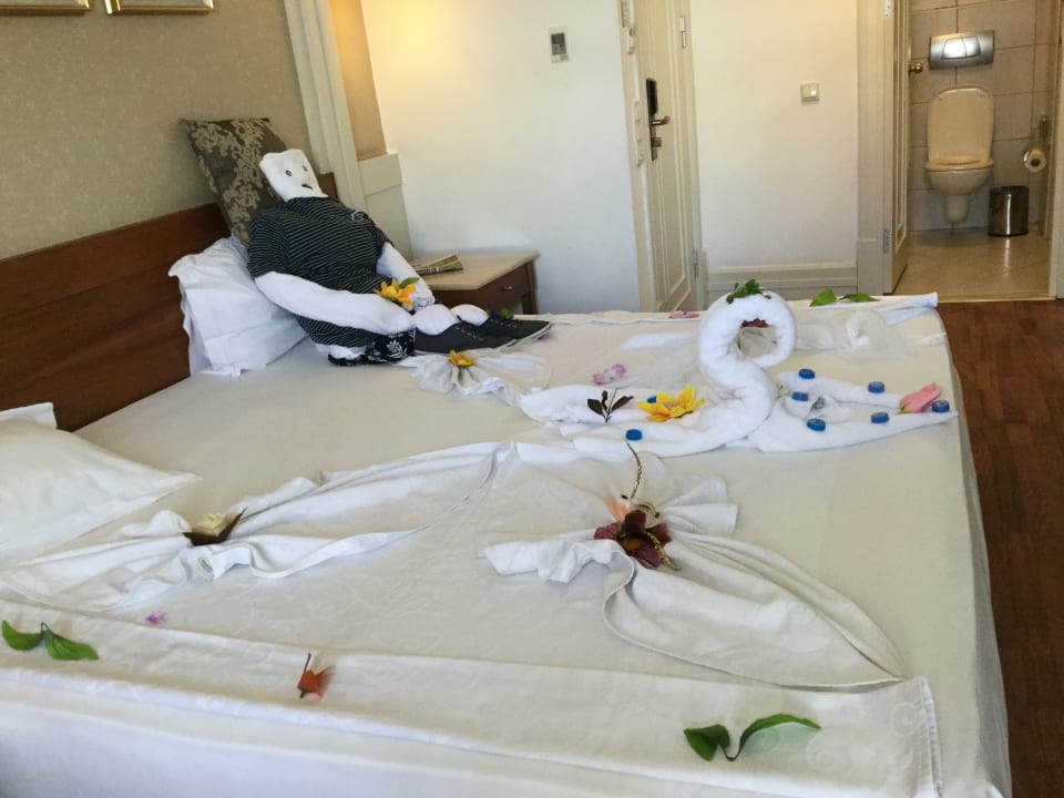 Zimmer Alba Queen Hotel