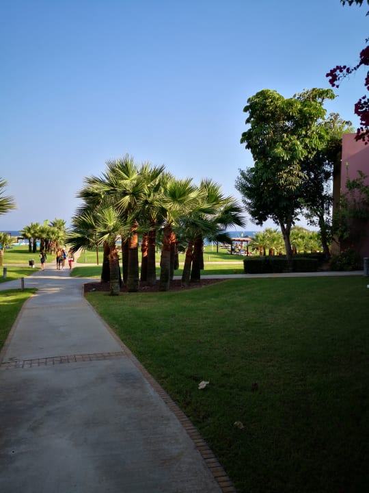 Gartenanlage ROBINSON CYPRUS
