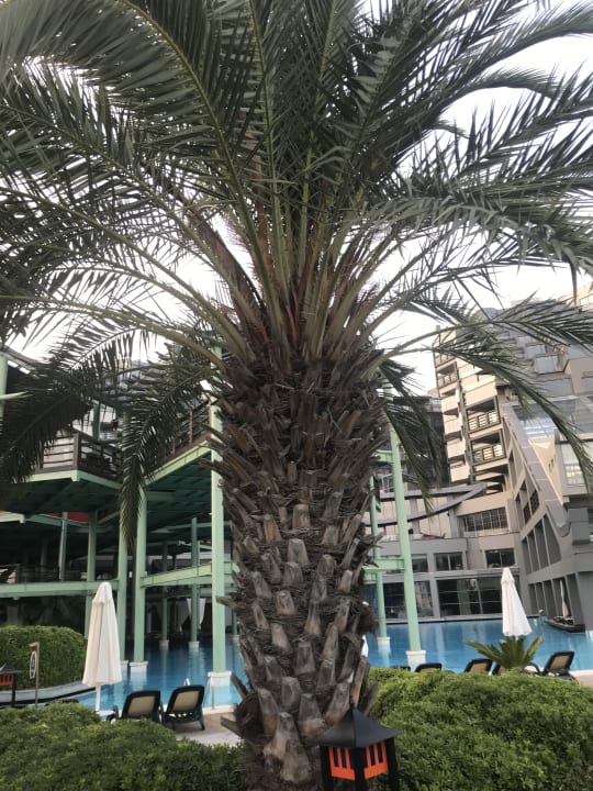 Außenansicht Limak Lara Deluxe Hotel & Resort