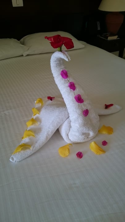 Zimmer Malikia Resort Abu Dabbab