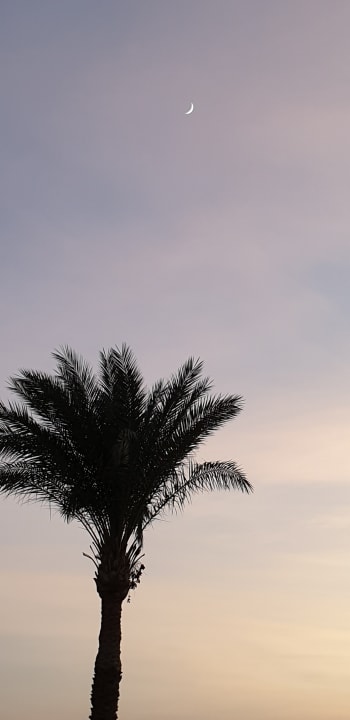 Ausblick Pickalbatros Dana Beach Resort - Hurghada