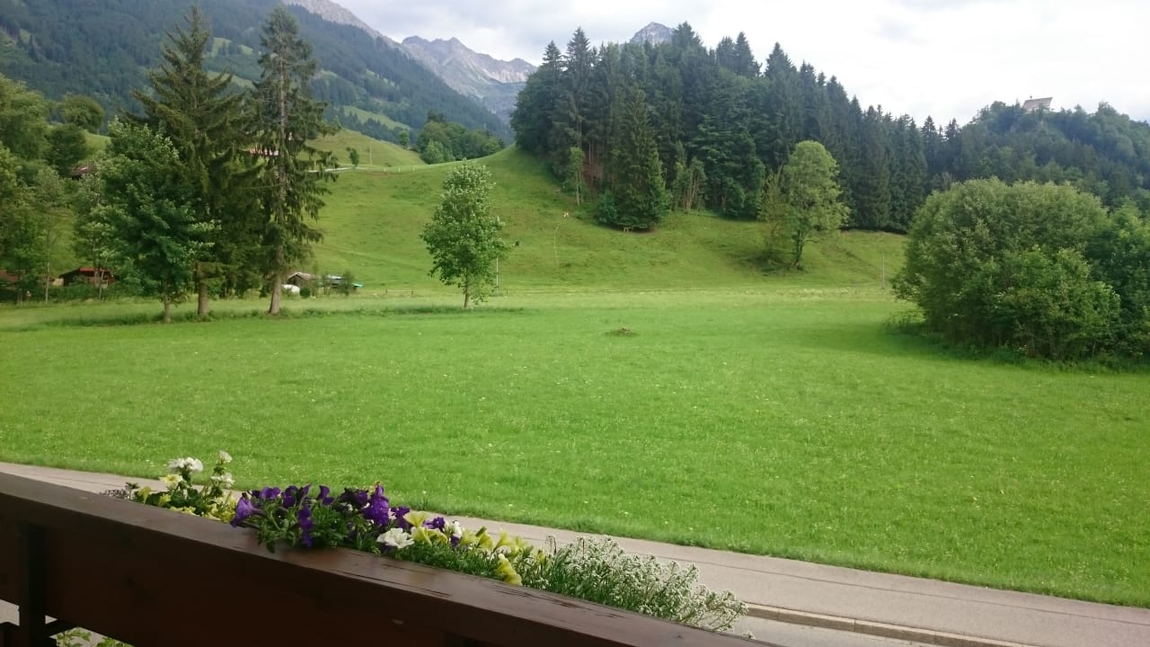 Ausblick Goldvogel Apartments