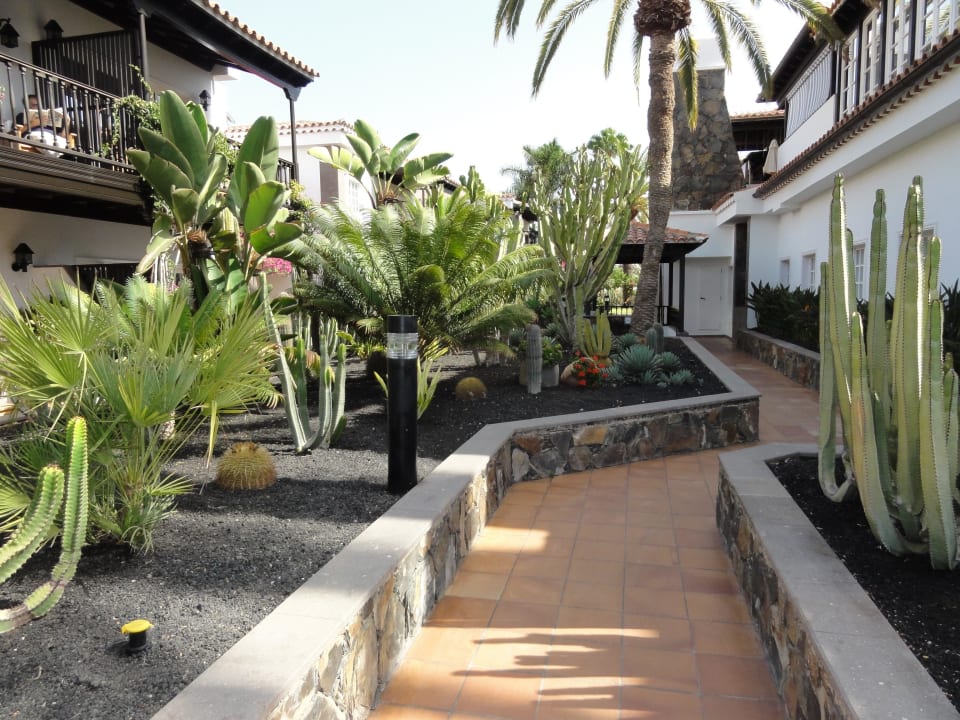 Paadje naar eetzaal Seaside Grand Hotel Residencia