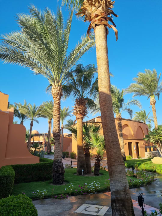 Gartenanlage Jaz Makadi Oasis Resort