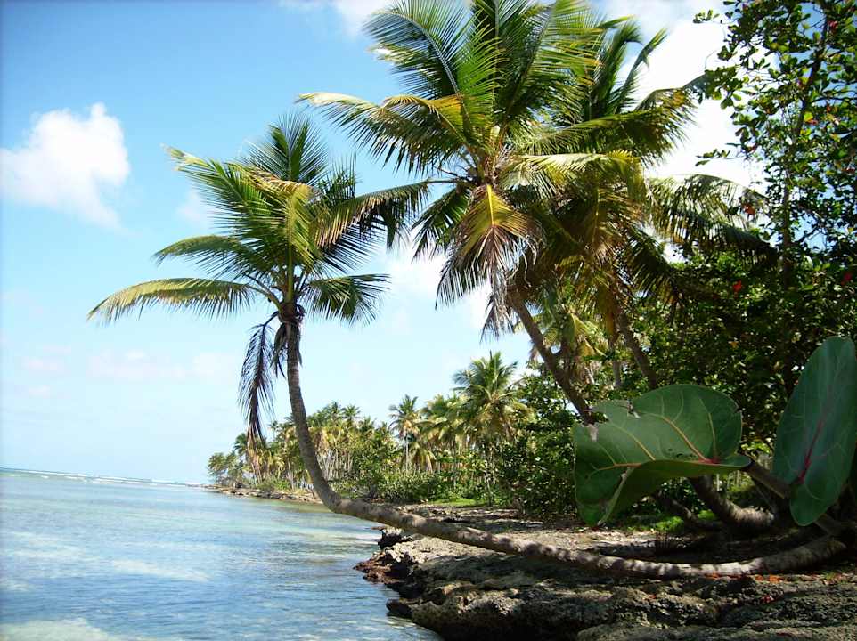 Umgebung Wyndham Alltra Samana