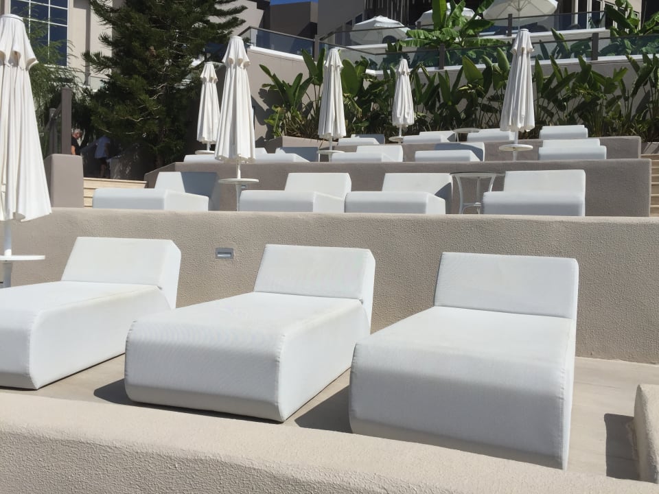 Sonstiges PALOMA Perissia