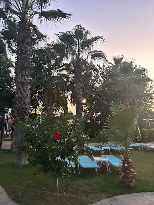 Außenansicht Saturn Palace Resort Hotel