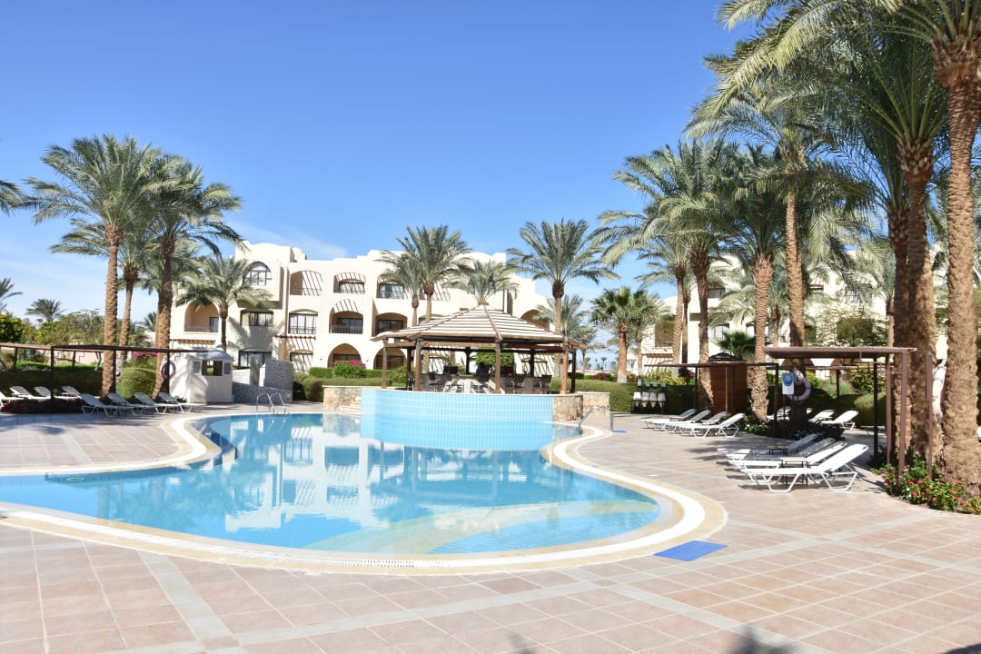 Pool JAZ Neo Saraya Palms