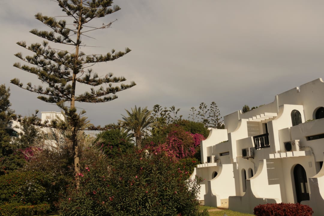 Gartenanlage Hotel Les Omayades