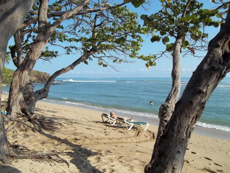 Von der liege aus Senator Puerto Plata Hotel