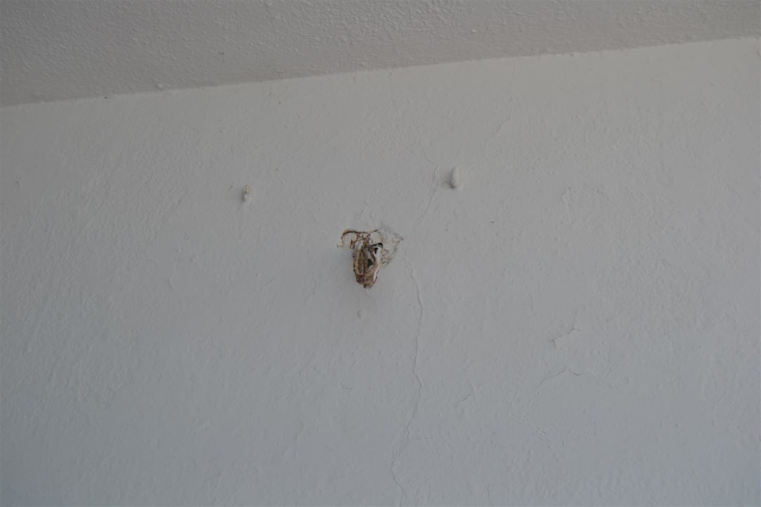 Balkon: hier hing wohl mal eine Lampe :-( Hotel Condesa