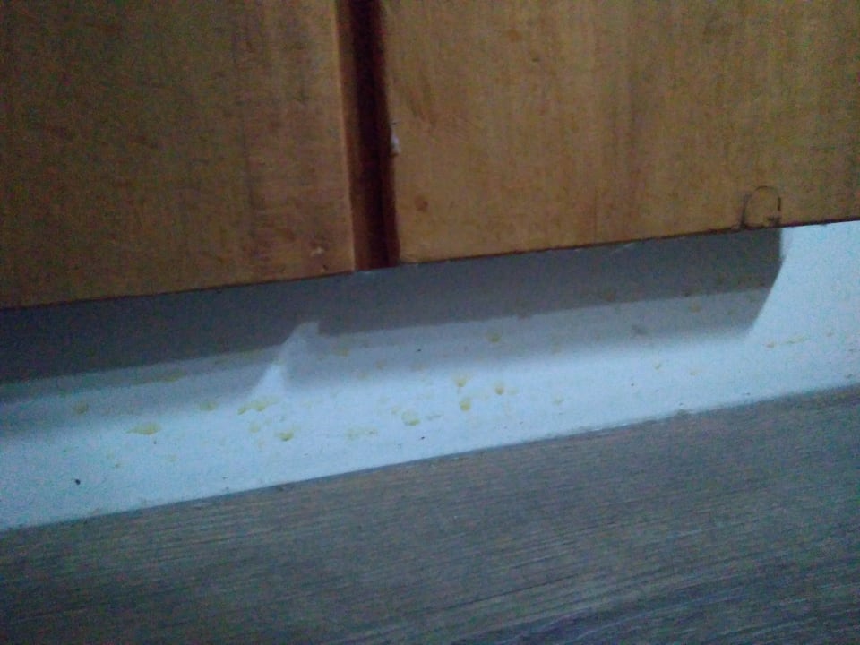 Zimmer Landal Beach Resort Ooghduyne