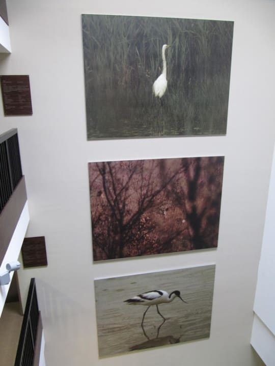 Bilder im Hotel St. Martins Therme & Lodge Hotel