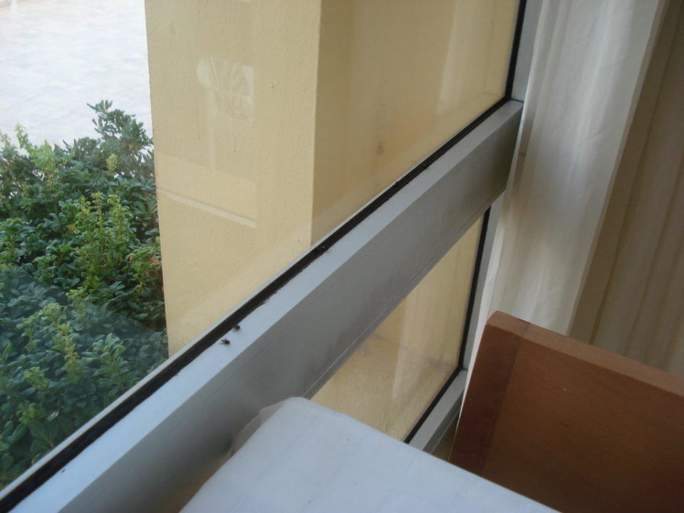 Fliegen Calimera Yati Beach