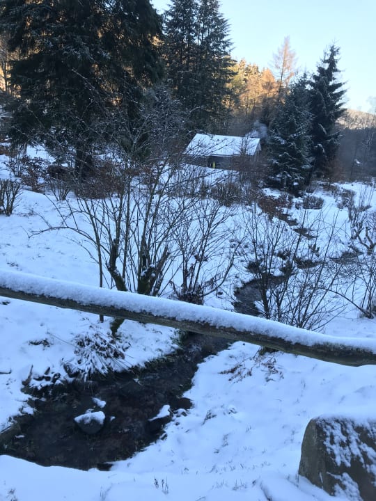 Ausblick Ferienhaus Lichtung