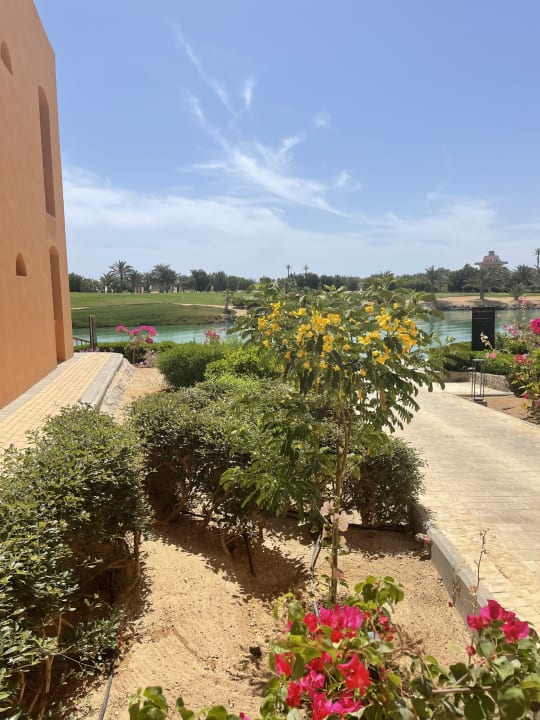 Gartenanlage Steigenberger Golf Resort El Gouna
