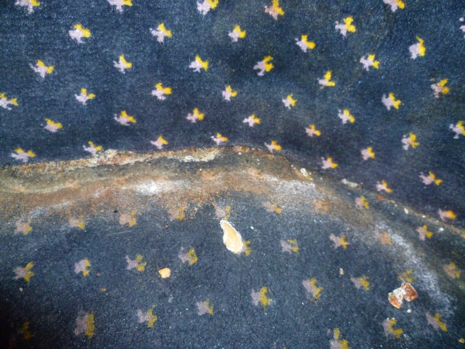 Hintere Reihe in der Disco, der Boden Hotel Amir Palace