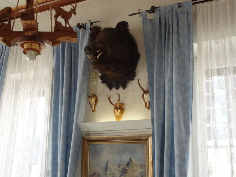 Jagdtrophäen Hotel Moosbichl