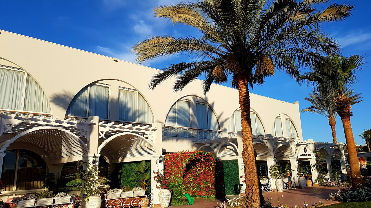 Außenansicht Desert Rose