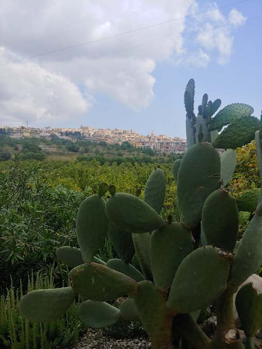 Gartenanlage Casa vacanze il primo fiore
