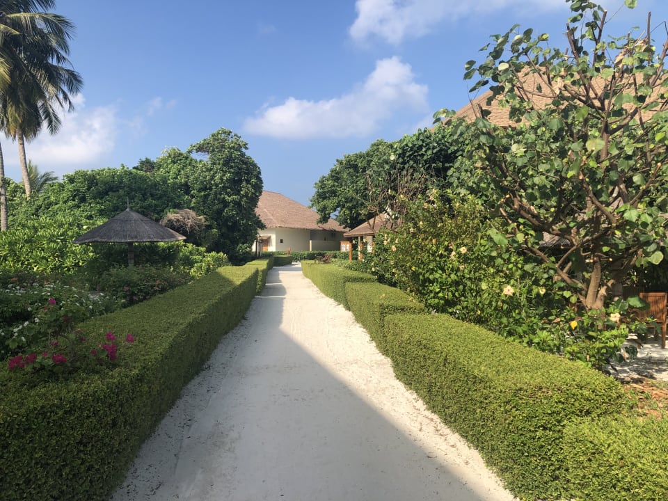 Gartenanlage Reethi Faru Resort