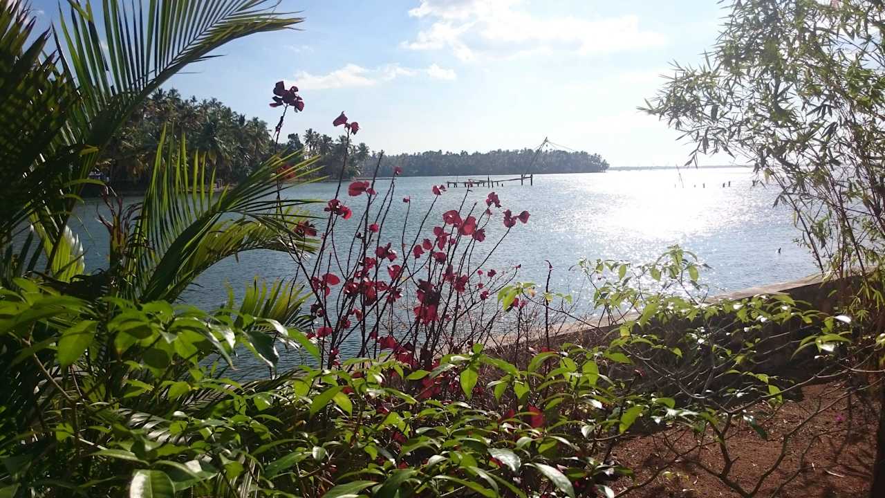 Ausblick auf Ashtamudi See Ashirvad Ayurveda Homestay