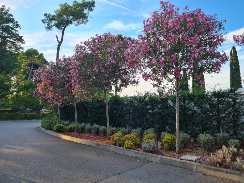 Gartenanlage Isabella Island Resort Valamar Collection