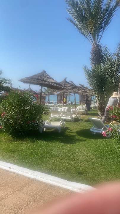 Gartenanlage TUI BLUE Palm Beach Hammamet