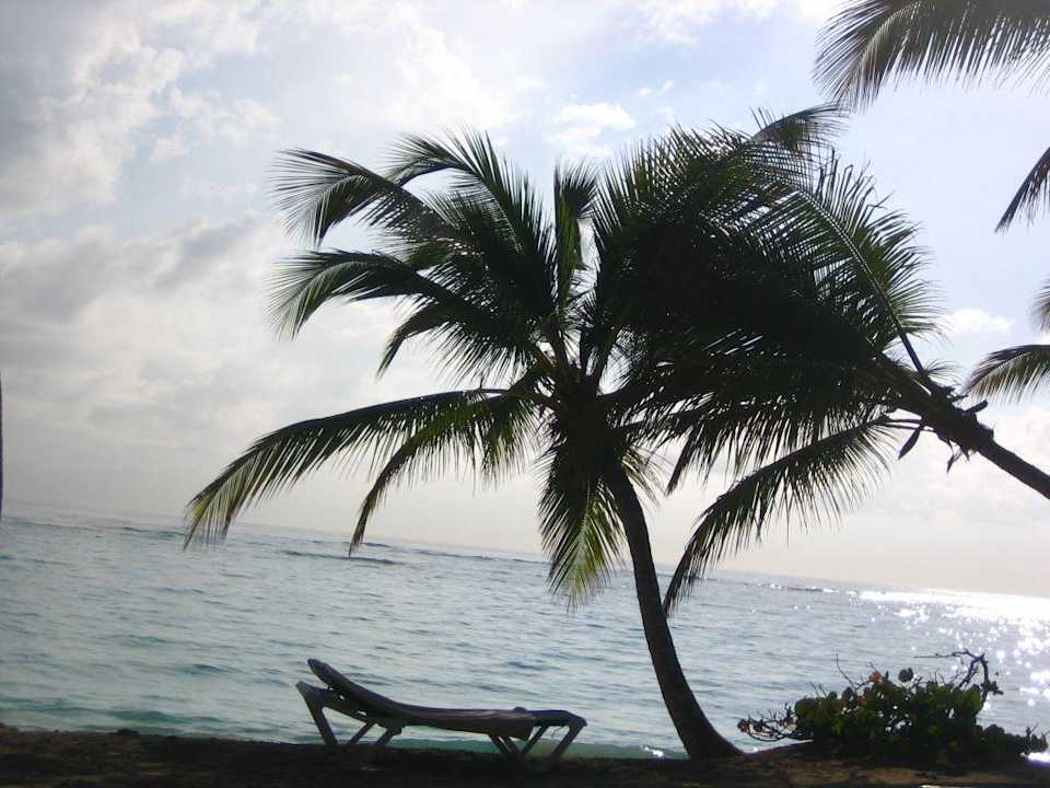 Hotelstrand - Strandbereich Hotel Riu Palace Bavaro