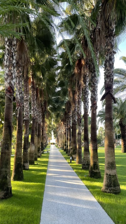 Gartenanlage Hotel Miramare Beach