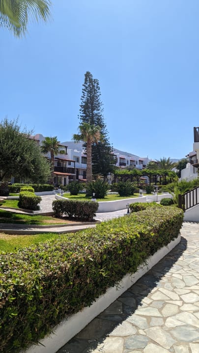 Gartenanlage Alexander Beach Hotel & Village Resort