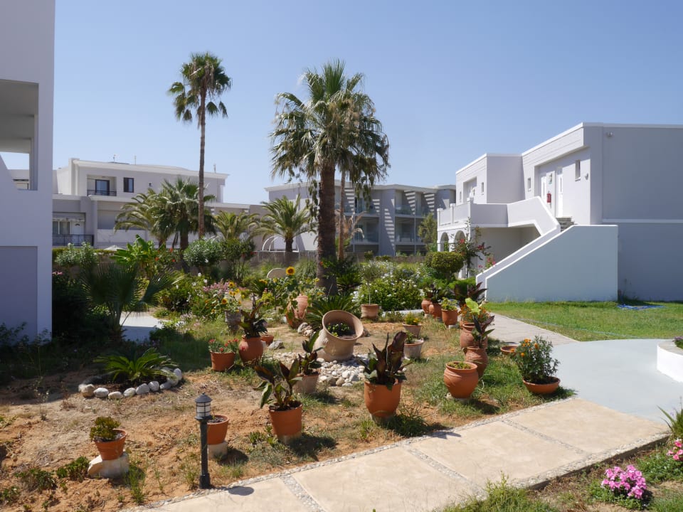 Gartenanlage Delfina Tropic Beach