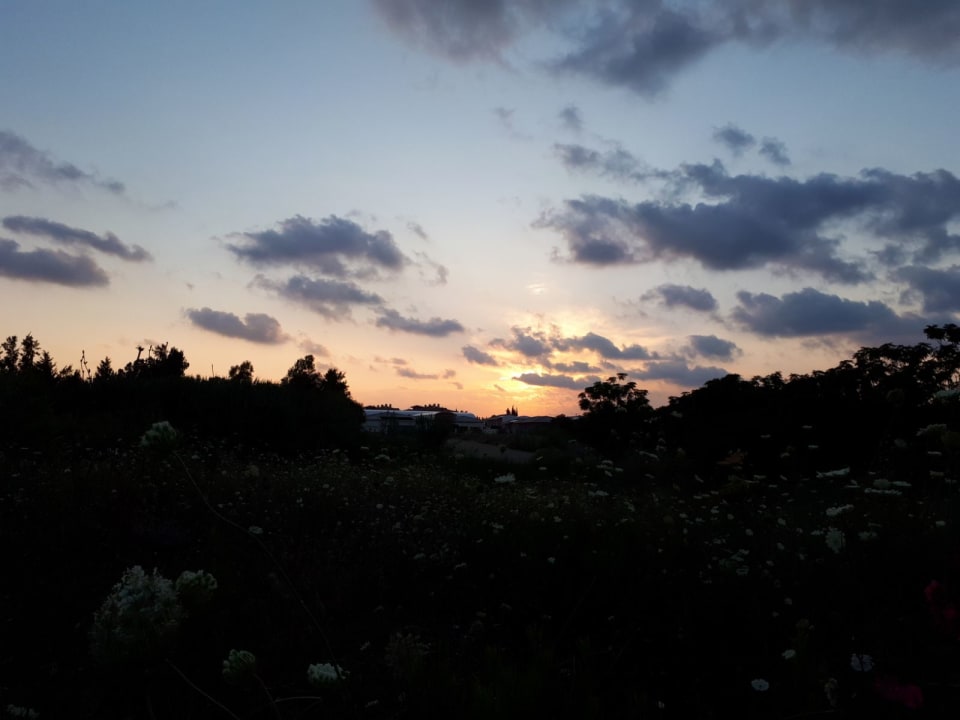 Außenansicht Can Garden Resort