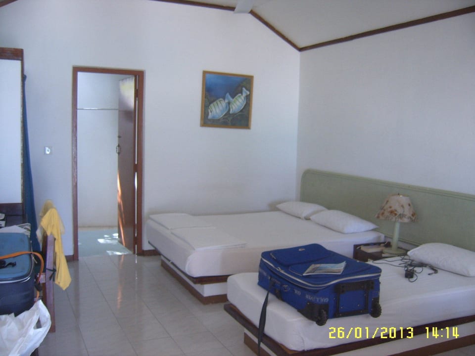 Standard-Bungalow 26 Summer Island Maldives