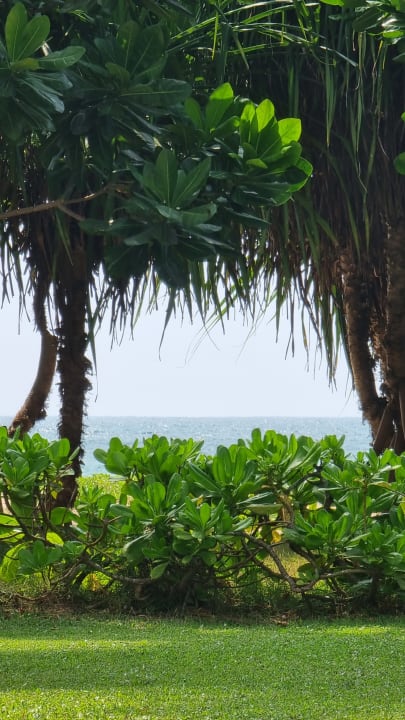 Strand Thaala Bentota