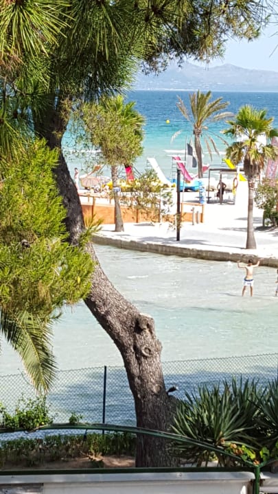 Blick aufs Meer allsun App.-Hotel Orquidea Playa