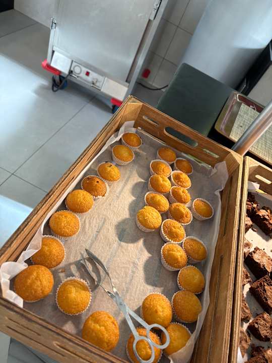 Sonstiges Hotel Riu Palace Boavista