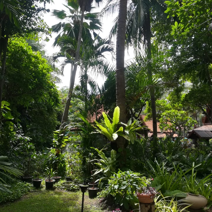 Gartenanlage Avani Pattaya Resort