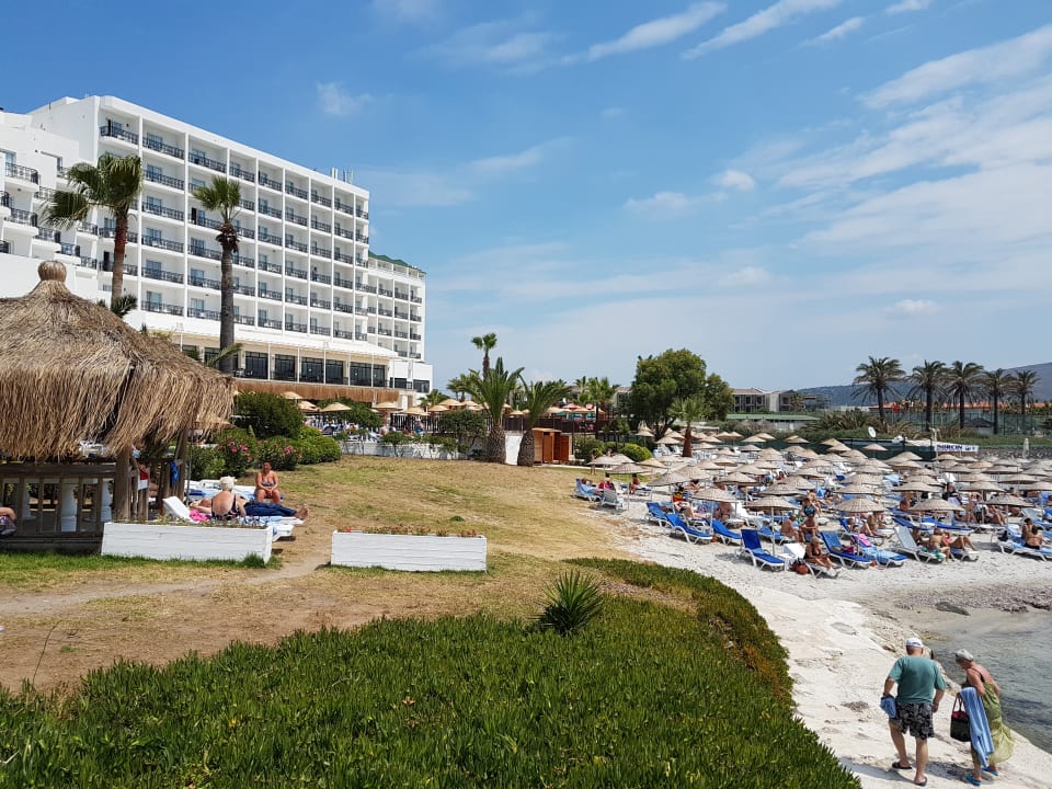Strand Design Plus Seya Beach Hotel