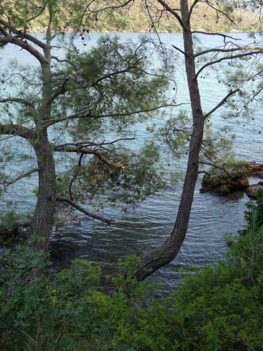 Ausblick Green Bay Resort & Spa
