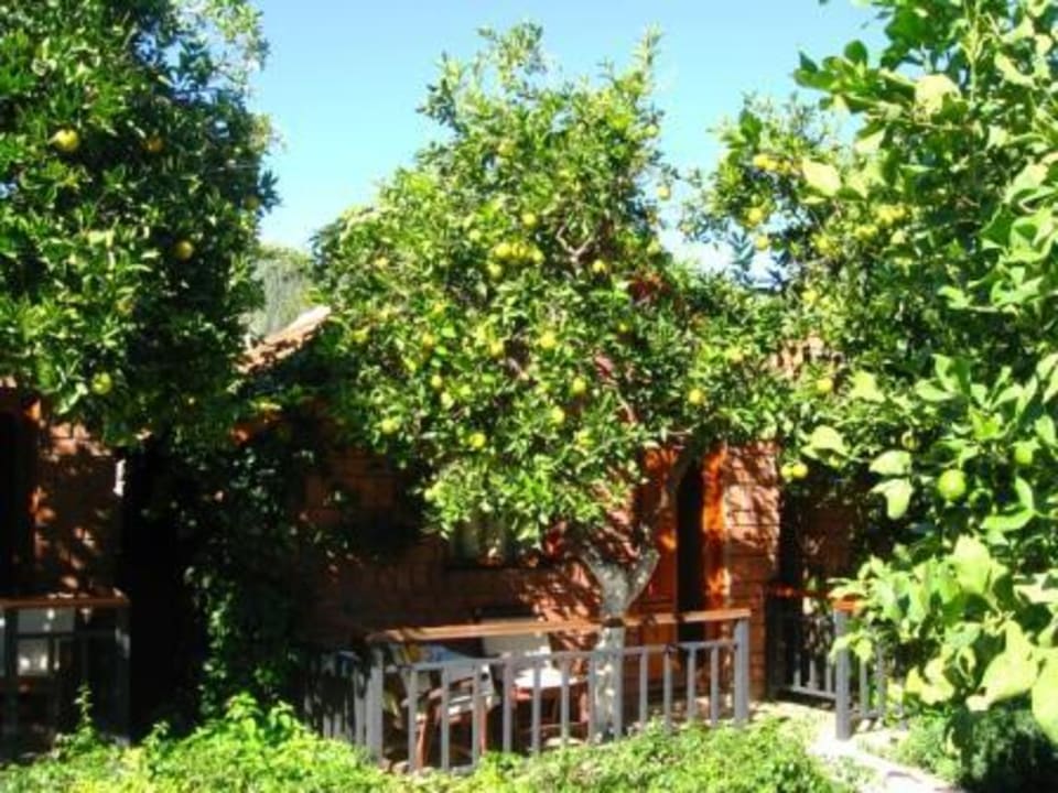 Haus Can Garden Beach