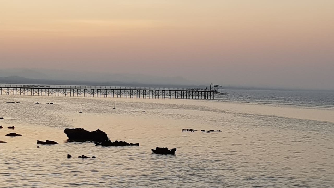 Strand Pickalbatros Sea World Resort - Marsa Alam