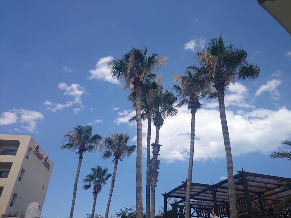 Ein paar Wolken Hotel Paradis Palace