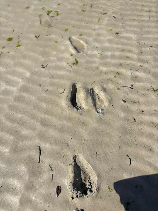 Strand Azao Resort & Spa - Hotel Zanzibar