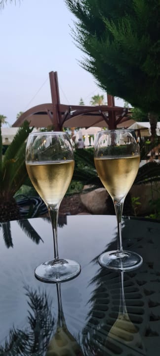 Gastro Saphir Resort & Spa